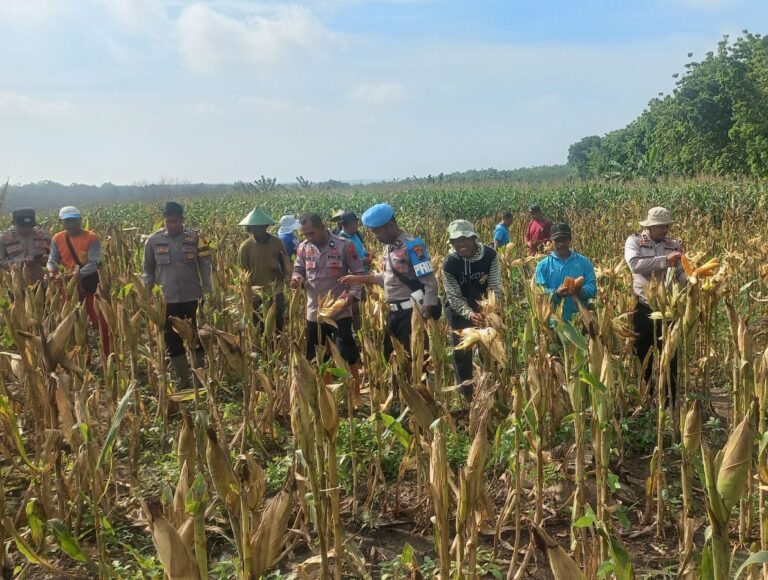 WhatsApp-Image-2025-12-07-at-08.33.17