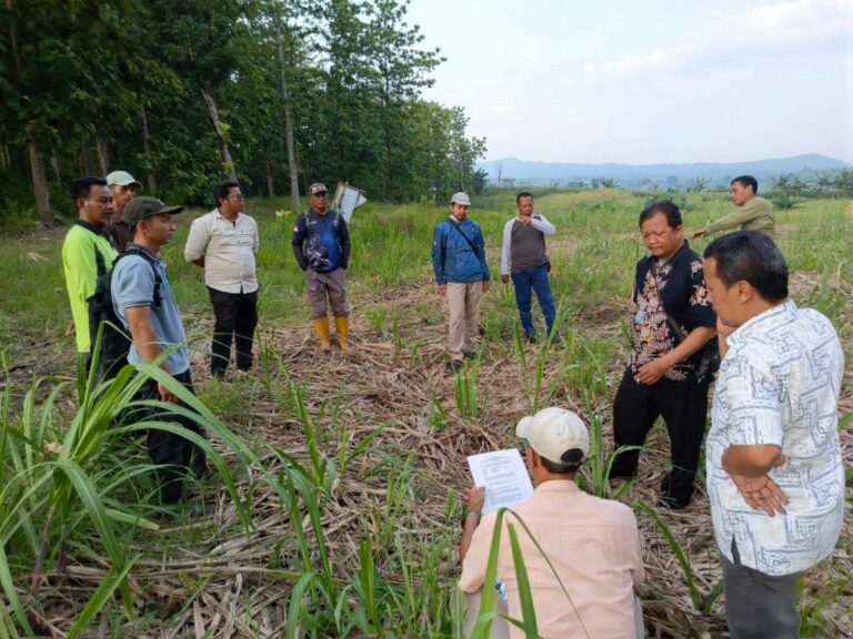 f3d9d4d2-fdd2-4e6b-9305-c91cea5d129a